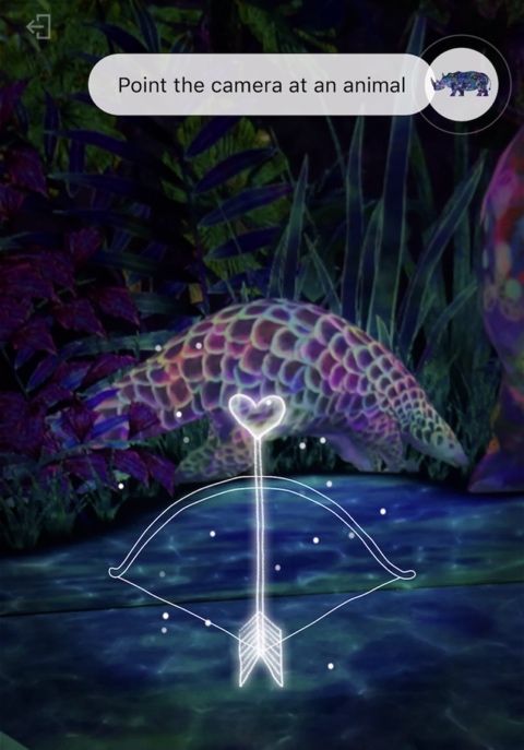 圖三：筆者於 TeamLab Forest 以手機程式捕捉投影在牆上的動物